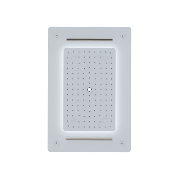 CONCEALED SHOWER HEAD [PURITY-03]