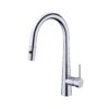 PULL OUT KITCHEN MIXER  WITH VEGIE SPRAY [CELIA-01]