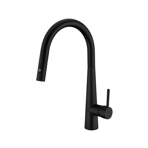 PULL OUT KITCHEN MIXER  WITH VEGIE SPRAY [CELIA-03]