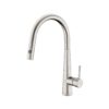 PULL OUT KITCHEN MIXER  WITH VEGIE SPRAY [CELIA-04]