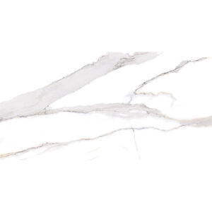 Pllakë Swan Satvario 60x120