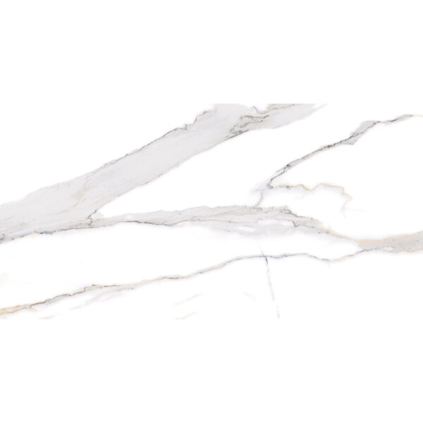 Pllakë Swan Satvario 60x120 Pllakë Swan Satvario 60x120