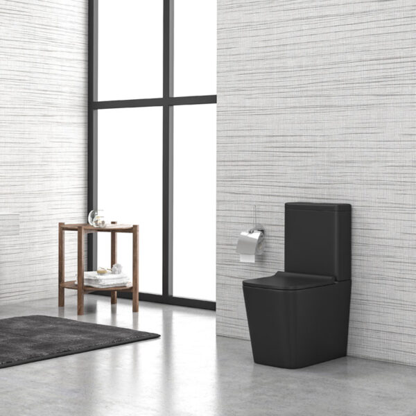 Set Mbulesë për Depozitën e Tualetit LP Lt-2175A-Rmb Btw E zezë Mat Ios